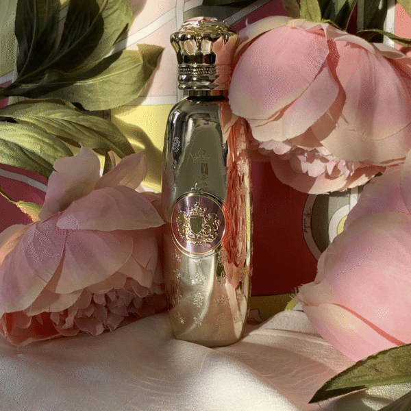 SOK Aludra Edp100ml