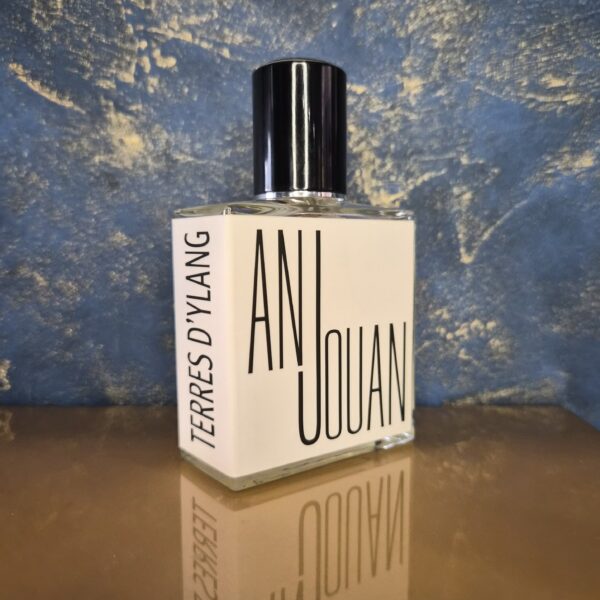 ANJOUAN INDICES PARFUMS EDP10ml